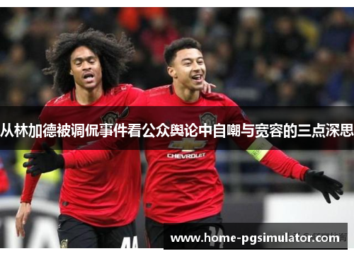 从林加德被调侃事件看公众舆论中自嘲与宽容的三点深思